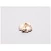 Image 1 : 20th C. Netsuke Ivory - Ram With Young