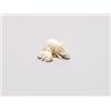 Image 1 : 20th C. Netsuke Ivory - Rabbit With Young