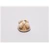 Image 2 : 20th C. Netsuke Ivory - Turtle With Young
