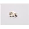 Image 3 : 20th C. Netsuke Ivory - Lion Dog & Rabbit