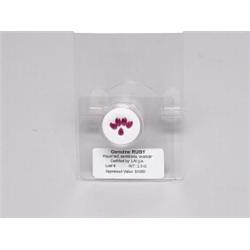 2.3 CT Ruby