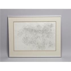 Ann Kipling Pencil Drawing 