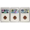 Image 2 : LOT OF ( 3 ) 1966 SMS LINCOLN CENTS, NGC MS-67 RED