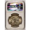Image 4 : 1921 MORGAN SILVER DOLLAR, NGC MS-63 VAM-41A PITTED REVERSE  TOP 100