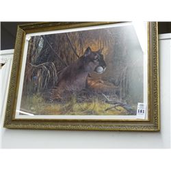 Framed Print Florida Panther Signed Binks w/COA