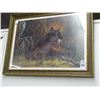 Image 1 : Framed Print Florida Panther Signed Binks w/COA