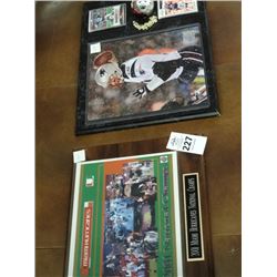 Hurricanes 2001 Championship Tom Brady Placque (2)