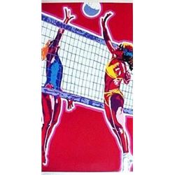 Yamagata, Hiro : Beach Volleyball
