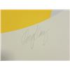 Image 3 : Doug Danz Signed Abstract Bird Proof Print Vida I