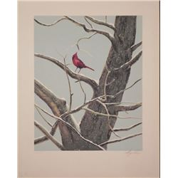 Wayne Cooper Signed Artist Proof Print Cardinal -Winter