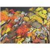 Image 2 : Jan Coventry Original Chalk Drawing Autumn Trees Fall