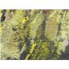 Image 3 : Jan Coventry Original Chalk Drawing Autumn Trees Fall