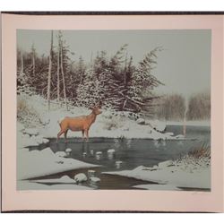 Wayne Cooper Signed Artist Proof Print Deer in Winter