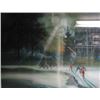 Image 1 : Peak, Robert : Cross Country Skiing