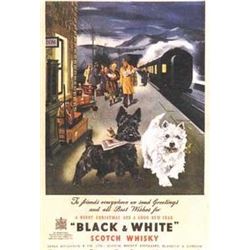 Scottie Black and White Scotch Whiskey Art Print