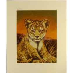 Marty Katon Signed Art Print Lion Cub