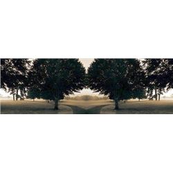 Rebecca Rowe Signed Nature Art Print Two Paths
