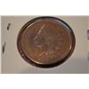 (2) 1888 Indian Head Penny