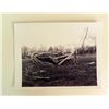Image 3 : Korean War Tank Pictures