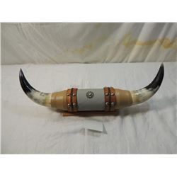 MOUNTED STEER HORNS