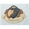 Image 1 : HARRY POTTER WIZARDS ONLY PLAQUE