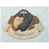 Image 2 : HARRY POTTER WIZARDS ONLY PLAQUE
