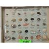 Image 2 : BEACHCOMBER SHELL COLLECTION