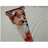 Image 1 : JOAKIM NOAH FELT PENNANT