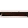 Image 9 : Winchester 1873 Octagon Barrel .44-.40 Rifle