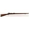 Image 1 : Springfield Model 1884 Trap Door .45-70 Rifle