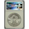 Image 4 : 2009 SILVER AMERICAN EAGLE NGC MS-69