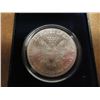 Image 2 : 1999 COLORIZED AMERICAN SILVER EAGLE IN CASE