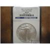 Image 1 : 2007-W AMERICAN SILVER EAGLE NGC MS69
