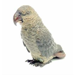 An Austrian cold-painted bronze model of a parrot, c.1900 6.25ins...