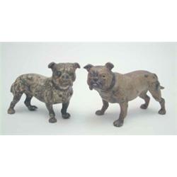 An Austrian cold painted-bronze early 20th century bulldog, standing four square, and a similar s...