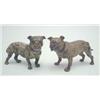 Image 1 : An Austrian cold painted-bronze early 20th century bulldog, standing four square, and a similar s...