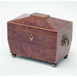 A George IV yew wood sarcophagus shaped tea caddy, with ivory escutcheon and gilt ball feet, 7.5i...