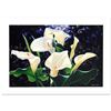 Image 1 : Morning Calla by Brian Davis