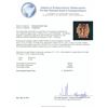 Image 4 : 14KT Rose Gold GIA Certified 26.97 ctw Morganite and Diamond Ring