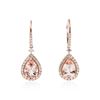 Image 1 : 14KT Rose Gold 4.11 ctw Morganite and Diamond Earrings