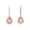 Image 1 : 14KT Rose Gold 4.11 ctw Morganite and Diamond Earrings