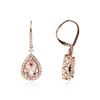 Image 2 : 14KT Rose Gold 4.11 ctw Morganite and Diamond Earrings