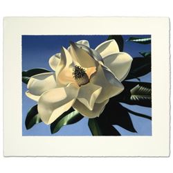 White Magnolias by Brian Davis