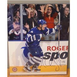 Alexander Steen Autographed photo (8x10) - w/COA