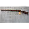 Image 2 : MARLIN
