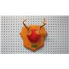 Image 1 : SET MOUNTED DEER HORNS UNSCORED