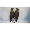 Image 1 : LOT 2 CROW DECOYS