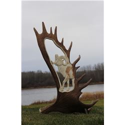 MOOSE ANTLER CARVING