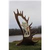 MOOSE ANTLER CARVING