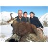Image 10 : 5-DAY ALPINE CHAMOIS HUNT FOR 2 HUNTERS